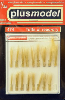 plusmodel 474 Tufts of reed-dry