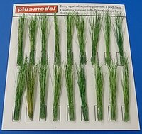 PLM473 Tufts of reeds-green