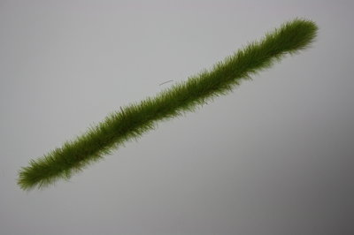 JFX-150 - lente kleurige grasstroken - [Joefix]