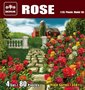 Diopark-35011-Rose-1:35