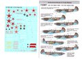 Foxbot-48-006-Decals-Soviet-interceptor-and-fighter-aircraft-Yak-9-Slogans-in-combat-1:48