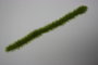 JFX-150 - lente kleurige grasstroken - [Joefix]_